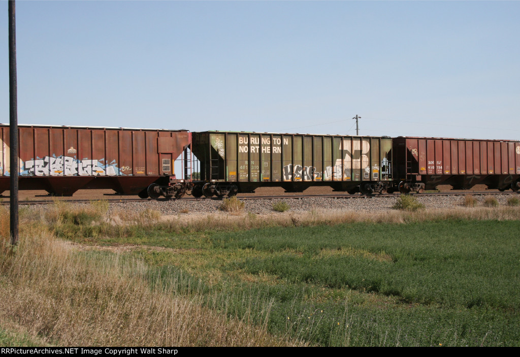BN 461310